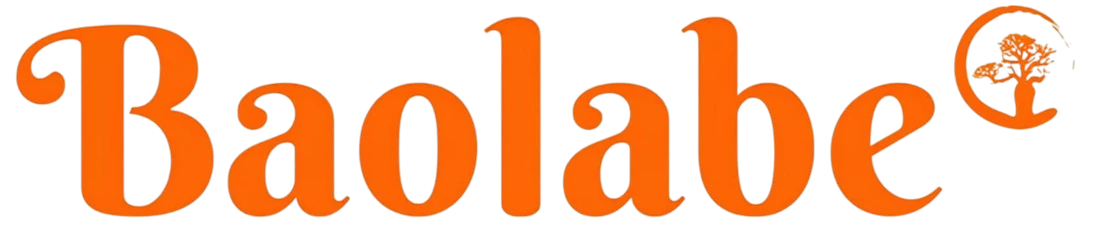 Baolabe E-com CI